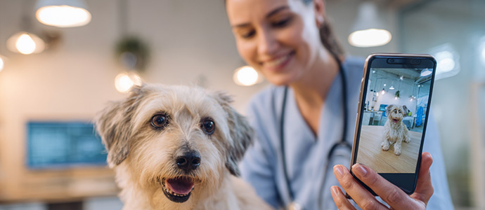 Veteriner Klinikleri için Dijital Büyüme